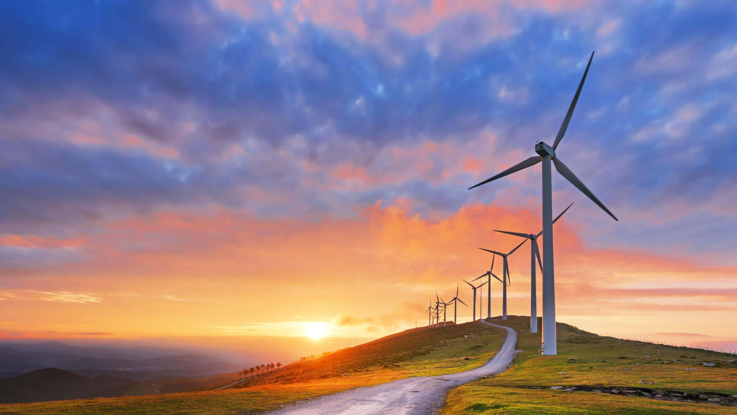 wind farm